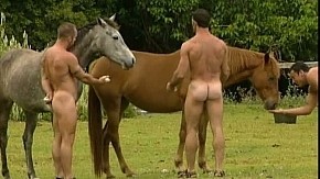 Eruption: Horseplay Extra